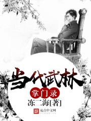 現代武林高手小說封面